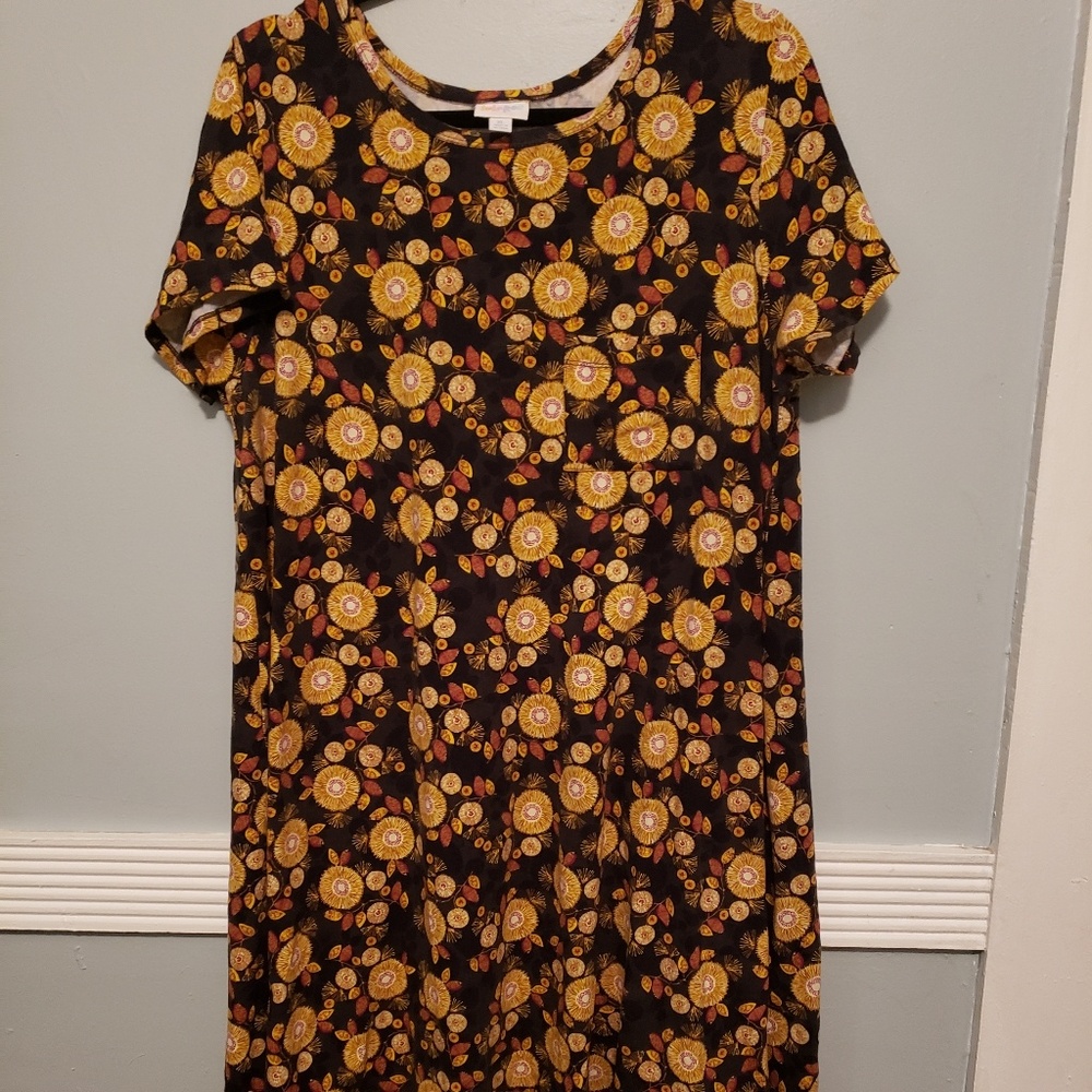 Lularoe Carly XL